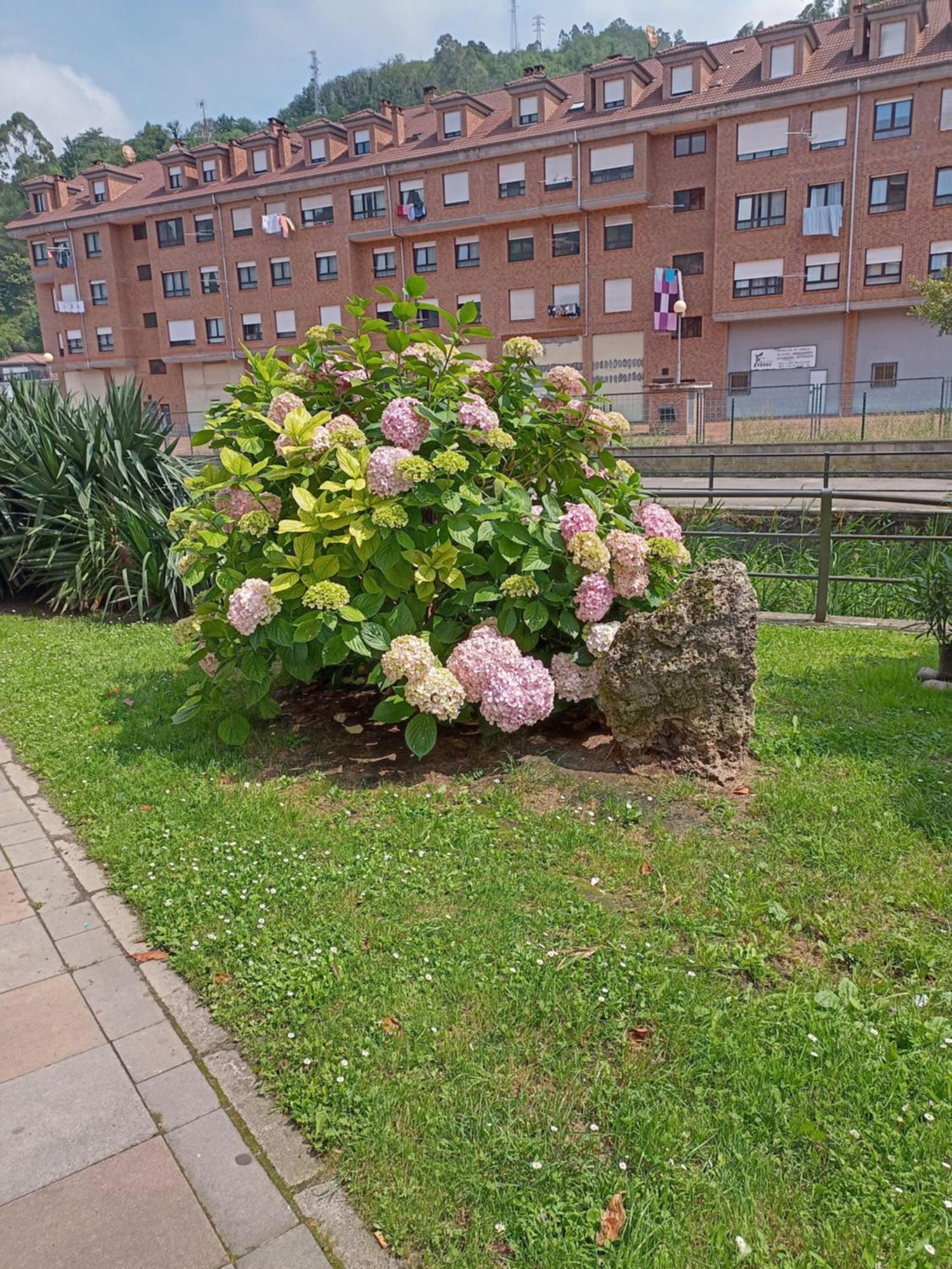 El Refugio De Noa Apartamento Mieres  Exterior foto